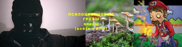 индика Абдулино