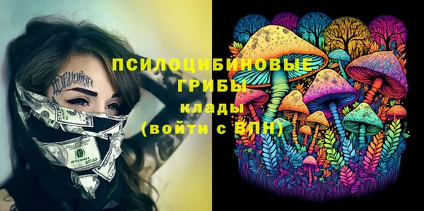 молекула духа Абинск