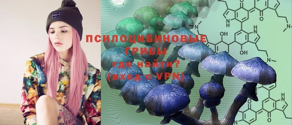 индика Абдулино