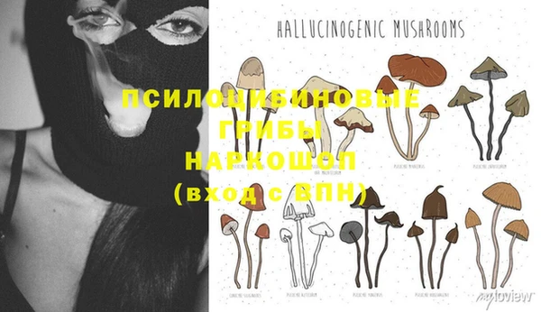 молекула духа Абинск