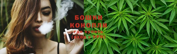 индика Абдулино